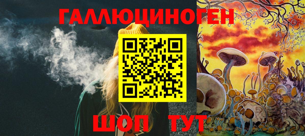 Галлюциногенные грибы Psilocybine cubensis Россия