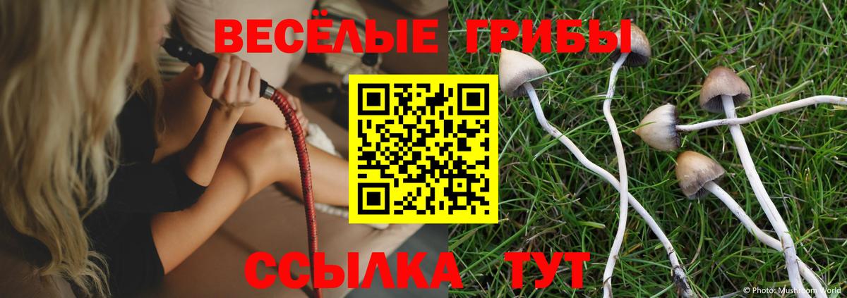 Галлюциногенные грибы Psilocybine cubensis  Вход с VPN  Галлюциногенные грибы Psilocybe  Россия 